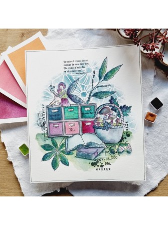 Tampon Clear - Echantillon - Collection "L'Orée des Bois" - Chou & Flowers