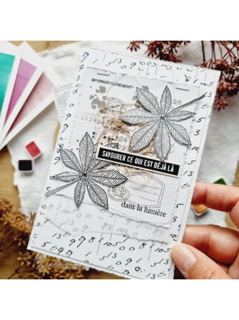 Tampon Clear - Notes d'Automne - Collection "L'Orée des Bois" - Chou & Flowers
