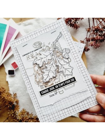 Tampon Clear - Notes d'Automne - Collection "L'Orée des Bois" - Chou & Flowers