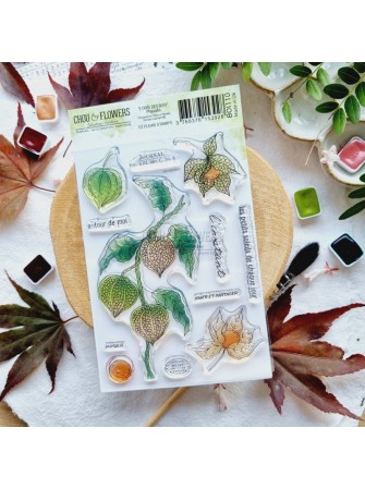 Tampon Clear - Physalis -...