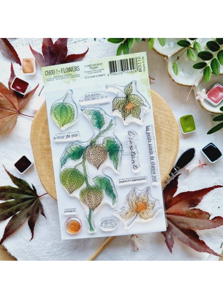 Tampon Clear - Physalis - Collection "L'Orée des Bois" - Chou & Flowers