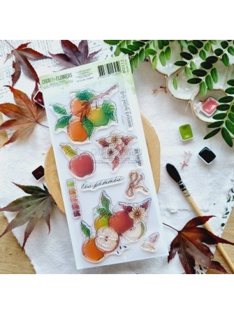 Tampon Clear - Les Pommes -...