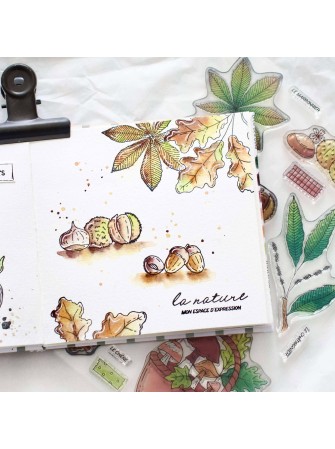 Tampon Clear - Ambiance Sous-Bois - Collection "L'Orée des Bois" - Chou & Flowers