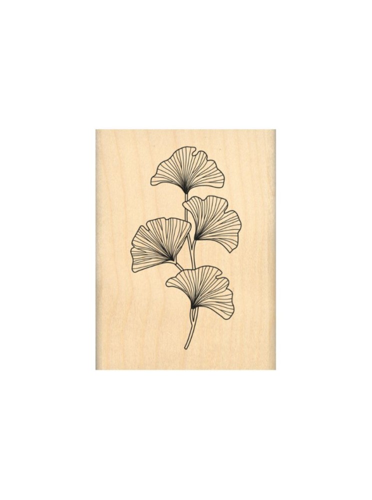 Tampon bois - Ginkgo Délicat - Collection "Ginkgo" Florilèges Design
