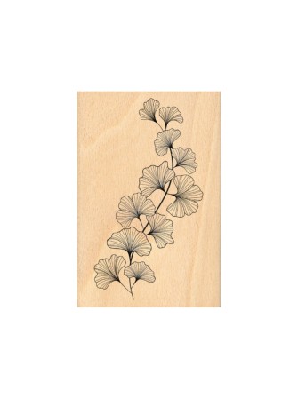 Tampon bois - Ginkgo Souple...