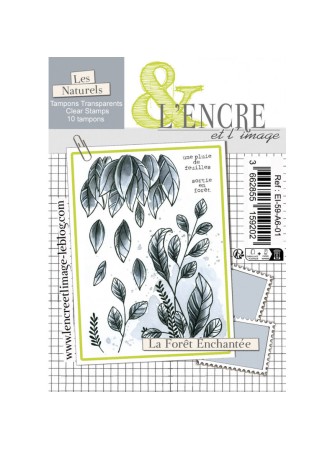 La Forêt Enchantée - Tampon...