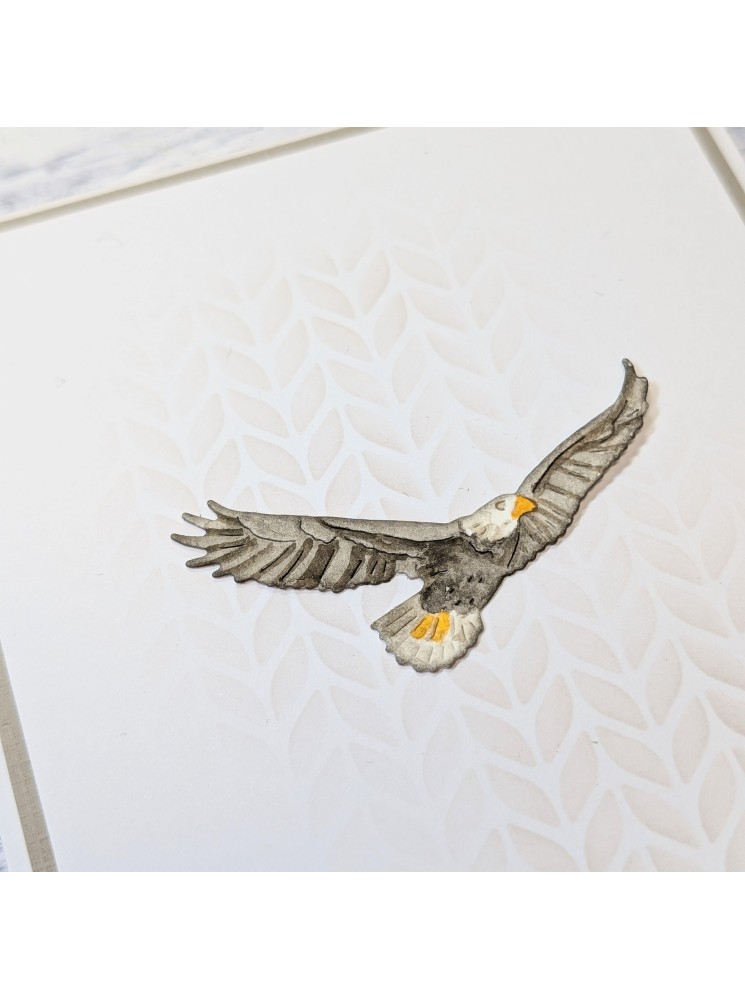 Aigle - Dies -  Gummiapan