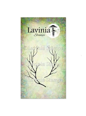 Witch Hazel - Tampon clear...