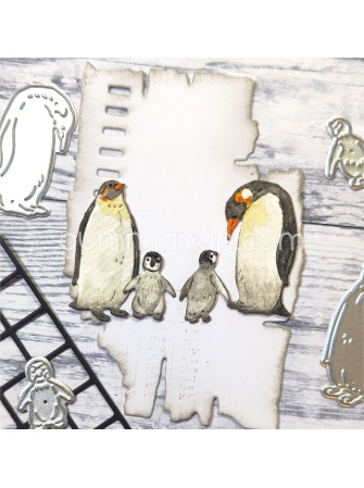 Famille de Pingouins - dies...