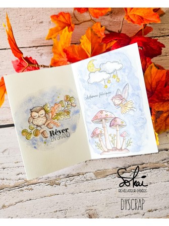 Rêver en grand - Collection "Raconte-moi une histoire" - Tampon clear - Sokai