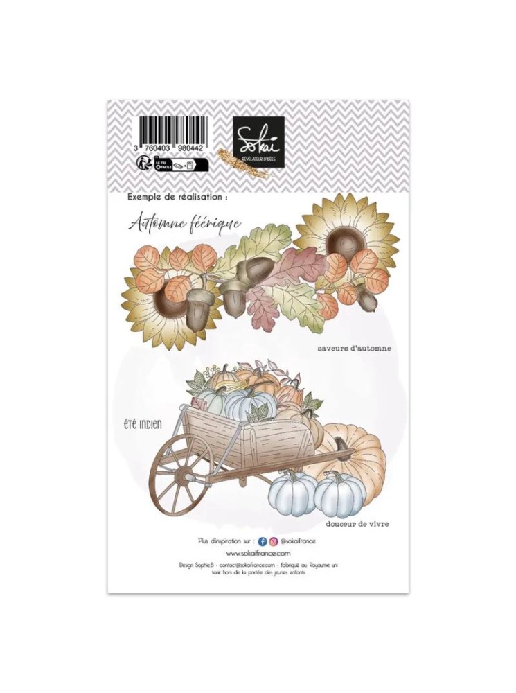 Saveurs d'automne - Collection "Raconte-moi une histoire" - Tampon clear - Sokai