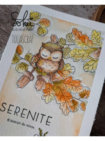 Saveurs d'automne - Collection "Raconte-moi une histoire" - Tampon clear - Sokai