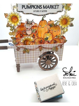 Happy Halloween - Collection "Raconte-moi une histoire" - Tampon clear - Sokai