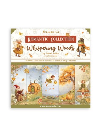 Pack papiers 20 x 20 cm -...