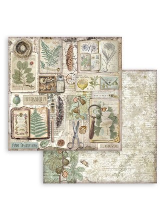 Pack papiers  - Collection "Herbarium Silvae" - Stamperia