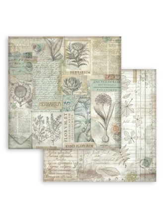 Pack papiers background - Collection "Herbarium Silvae" - Stamperia