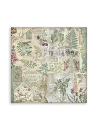 Pack papiers background - Collection "Herbarium Silvae" - Stamperia