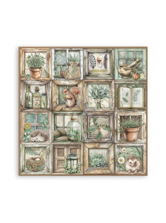 Maxi Pack papiers - Collection "Herbarium Silvae" - Stamperia