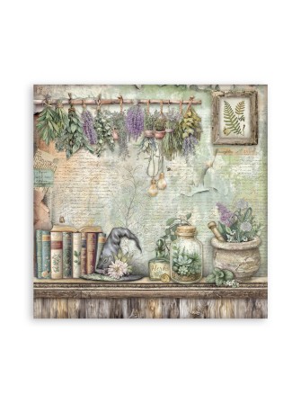 Maxi Pack papiers - Collection "Herbarium Silvae" - Stamperia