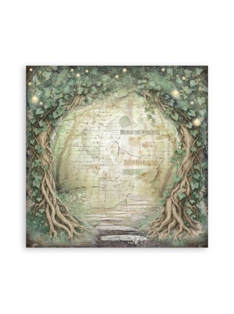 Maxi Pack papiers - Collection "Herbarium Silvae" - Stamperia