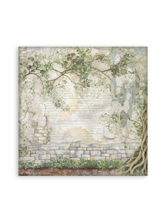 Maxi Pack papiers - Collection "Herbarium Silvae" - Stamperia