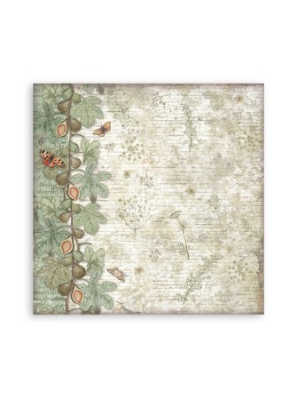 Maxi Pack papiers - Collection "Herbarium Silvae" - Stamperia
