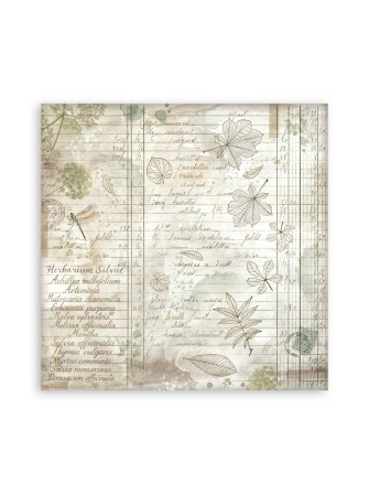 Maxi Pack papiers - Collection "Herbarium Silvae" - Stamperia