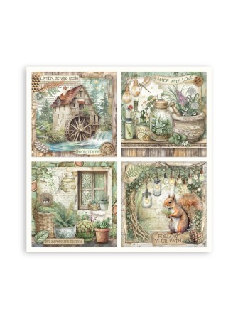 Maxi Pack papiers - Collection "Herbarium Silvae" - Stamperia