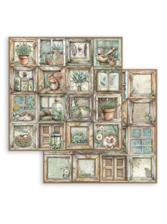 Pack papiers 20 x 20 cm - Collection "Herbarium Silvae" - Stamperia