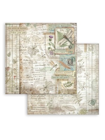 Pack papiers 20 x 20 cm - Collection "Herbarium Silvae" - Stamperia