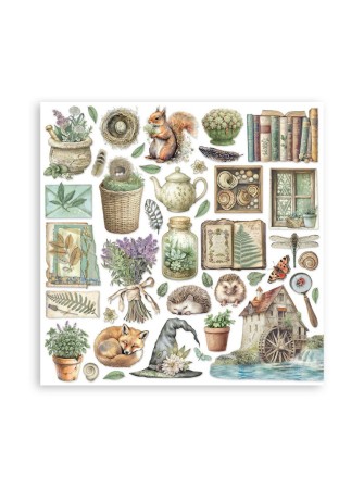 Pack papiers 20 x 20 cm - Collection "Herbarium Silvae" - Stamperia