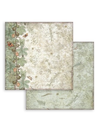 Pack papiers background 20 x 20 cm - Collection "Herbarium Silvae" - Stamperia
