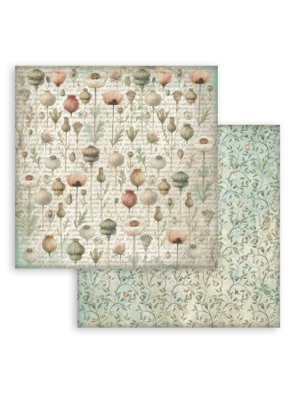 Pack papiers background 20 x 20 cm - Collection "Herbarium Silvae" - Stamperia