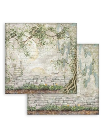 Pack papiers background 20 x 20 cm - Collection "Herbarium Silvae" - Stamperia