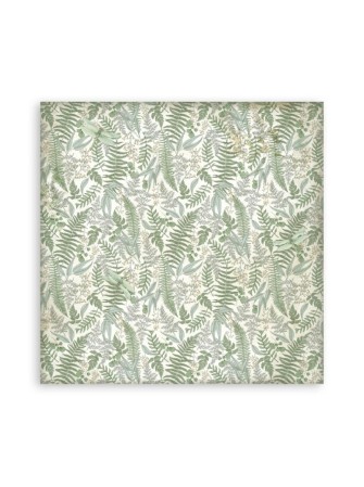 Pack papiers background 20 x 20 cm - Collection "Herbarium Silvae" - Stamperia