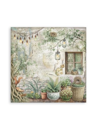 Maxi Pack papiers 20 x 20 cm  - Collection "Herbarium Silvae" - Stamperia