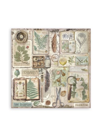 Maxi Pack papiers 20 x 20 cm  - Collection "Herbarium Silvae" - Stamperia