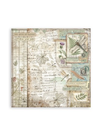 Maxi Pack papiers 20 x 20 cm  - Collection "Herbarium Silvae" - Stamperia
