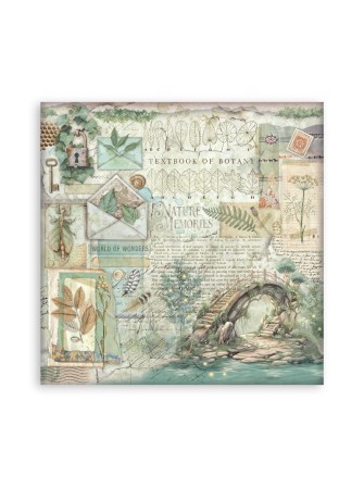 Maxi Pack papiers 20 x 20 cm  - Collection "Herbarium Silvae" - Stamperia